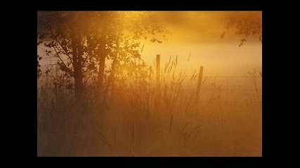 Somwhere Between Night And Day.avi