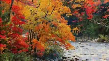 Autumn landscapes reflected in water- Relaxing music