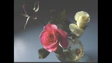 Enya - China Roses.