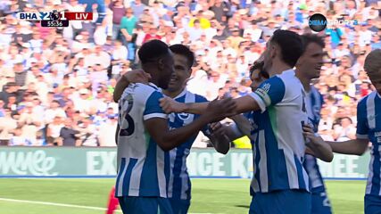 Goal by Brighton and Hove Albion