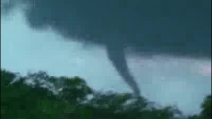 Tornado Elmwood 