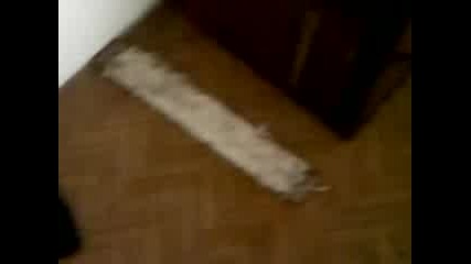 Чочко Играе