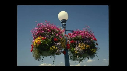Armik - Just A Dream
