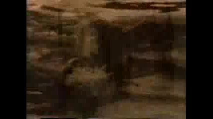 Sandra - One More Night