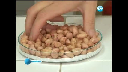 Български учени създадоха нискокалоричен фъстък