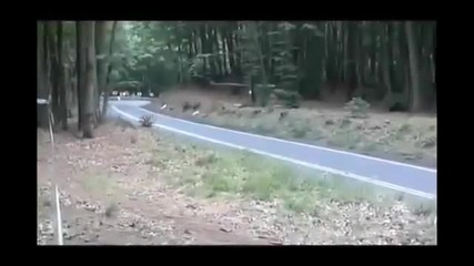 Катастрофи от рали 2012