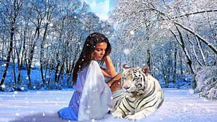 Peaceful_ Relaxing_ Instrumental Music Enchanted Forest _ Beautiful Nature Music