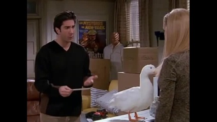 {sun} Friends - Phoebe and the birds {funny}
