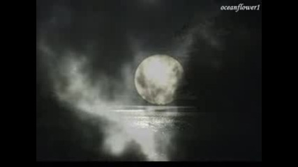 Ernesto Cortazar - Nights of silk and tears