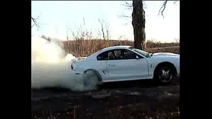 Ford Mustang Lud Burnout