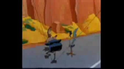 Beep beep 