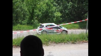 Rally vida 2010 