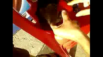 Коте играе степ