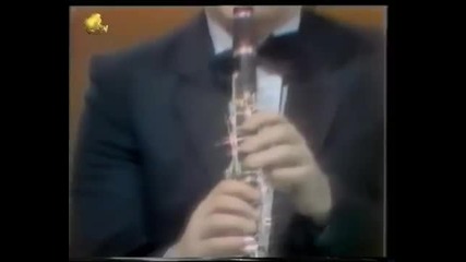 Nada Topcagic - Sinoc ja i moja kona