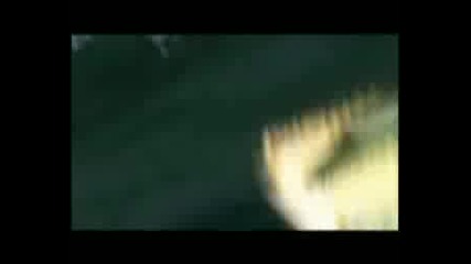 Starting Rock - Dont Go