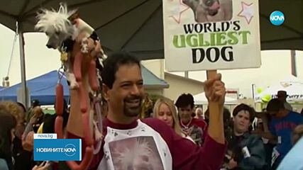 Започна набирането на кандидатите за конкурса за най-грозно куче на света