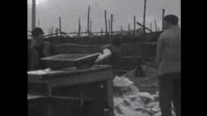 България И Светът През 1965 Г. - Част 5