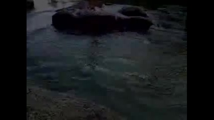 скачане в вода салта гледаите 