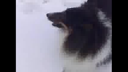 20.03.10 002