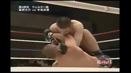 Mma Knockouts 2010