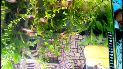 Vid_20150804_175722