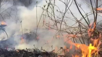 "Моята новина": Пожар край Тетевен
