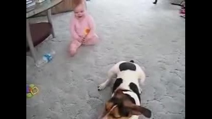ууникално куче и бебе играят