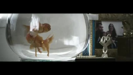 Maroon 5 - One More Night [official Video]