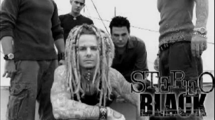 Stereo Black - Fall Again
