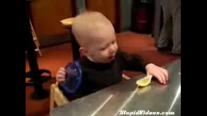 Бебе Се Опитва Да Яде Лимон