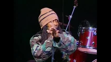 The Wailers - Keep On Moving (live 2002)