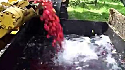 Машина за бране на череши