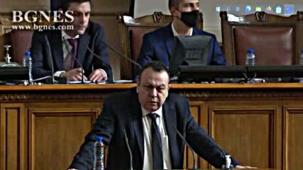 На първо четене НС отмени „златните паспорти“
