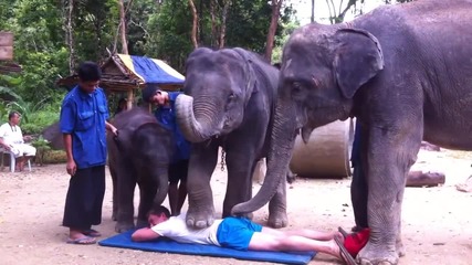 Тайландски слонове правят масаж