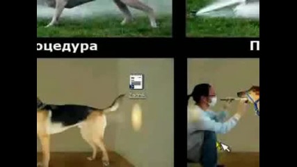 Много яка Windows Пародия (смях)