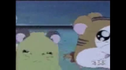 Blue Man Group - The Hamster Dance