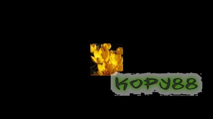 Честит Осми Март На Всички Момичета И Жени