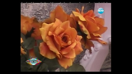 Vipbrother2012 Премиера на видеоклипа на Орлин [27.09.2012]