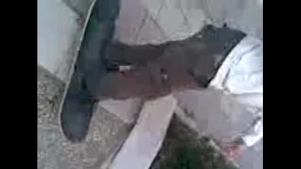 Stivan4o se prebiva s skateboard