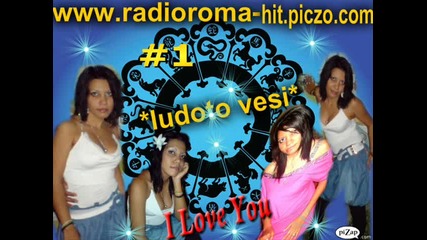 ziki i niki 2011 Hi radioroma-hit ludoto vesi