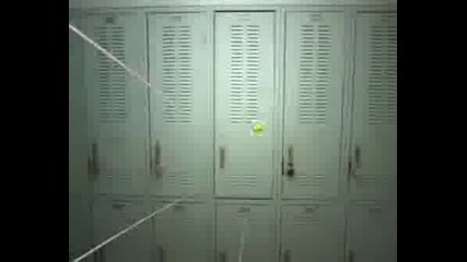 Funny Animals
