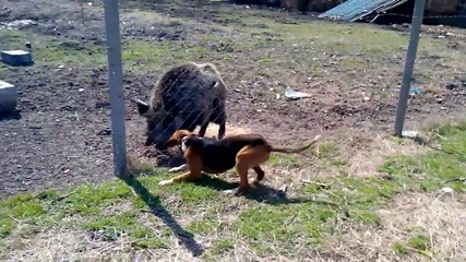 Vid_20150322_121031