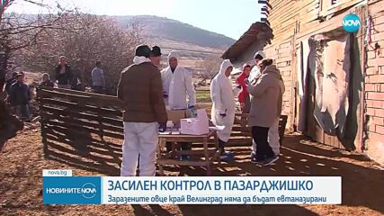 След две седмици зараза: Създават КПП край фермата във Велинград