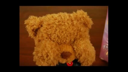 Patty The Bear Seduction Animated Video Clip