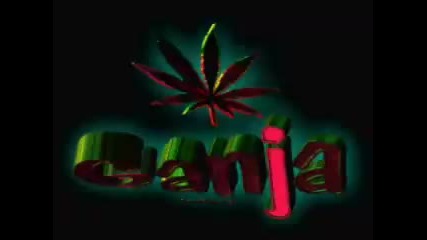 DJ Luna - Blackout