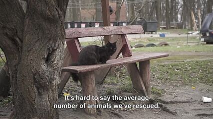Meet the family that's saving animals in Ukraine