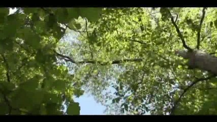 Релаксираща музика и видео!