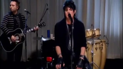Adam Lambert - Mad World (vh1 Unplugged) 