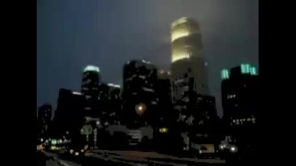 Hollywood Nights 