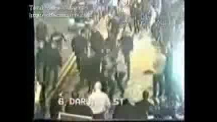 Mk Dons Hooligans